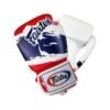Gants de Boxe d'entrainement FAIRTEX V1 Thaï pride