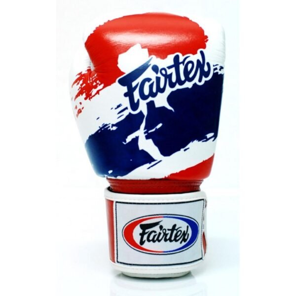 Gants de Boxe d'entrainement FAIRTEX V1 Thaï pride