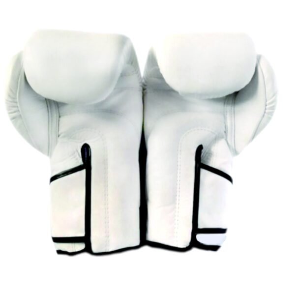 Gants de Boxe d'entrainement FAIRTEX FXV6 Blanc