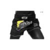Short de Boxe Thaï FAIRTEX BS1708